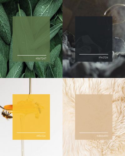 ASOMA-design-allgaeuer-genusswelt-grafikdesign-kempten-mack-design-branding-logo